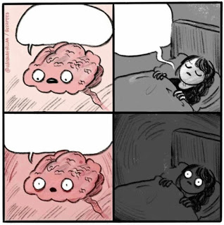 Brain Before Sleep Meme Preview Image