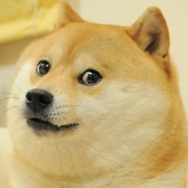 Doge Meme Preview Image