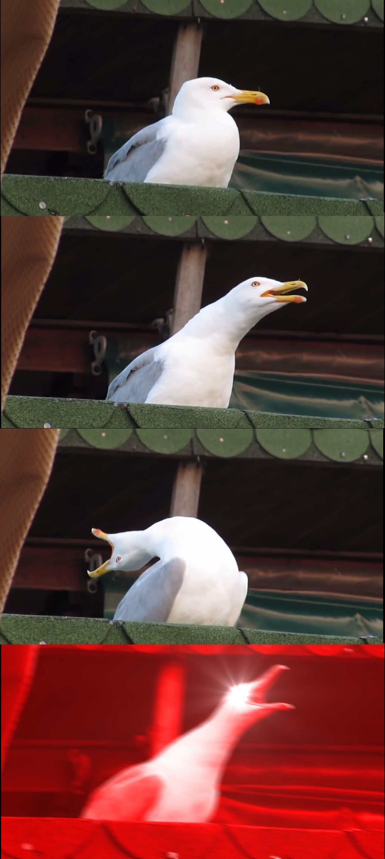 Inhaling Seagull Meme Preview Image