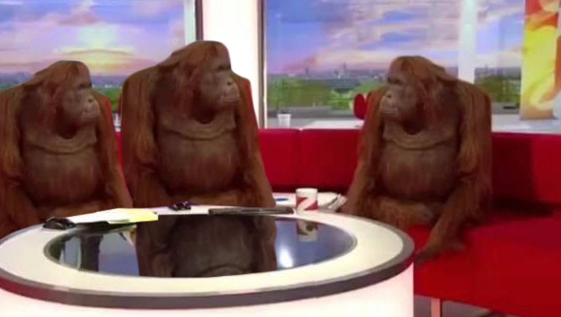 where monkey Meme Preview Image