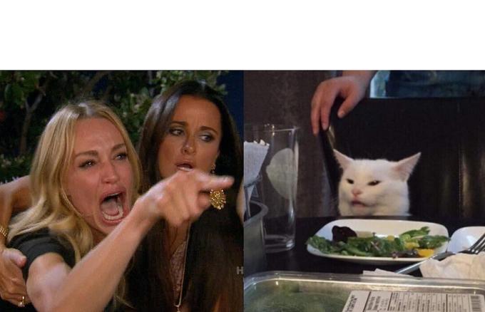 Woman Yelling At Cat Meme Preview Image