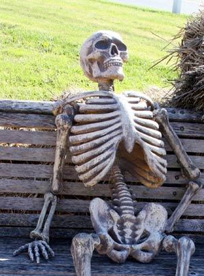Waiting Skeleton Meme Preview Image