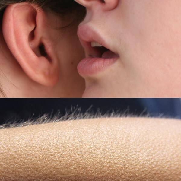 Whisper and Goosebumps Meme Preview Image