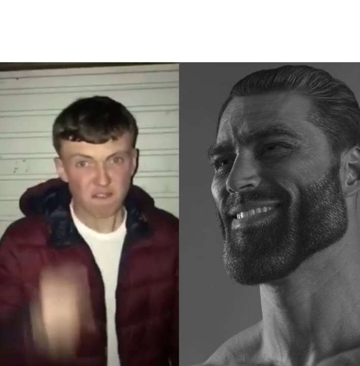 Average Fan vs Average Enjoyer Meme Preview Image