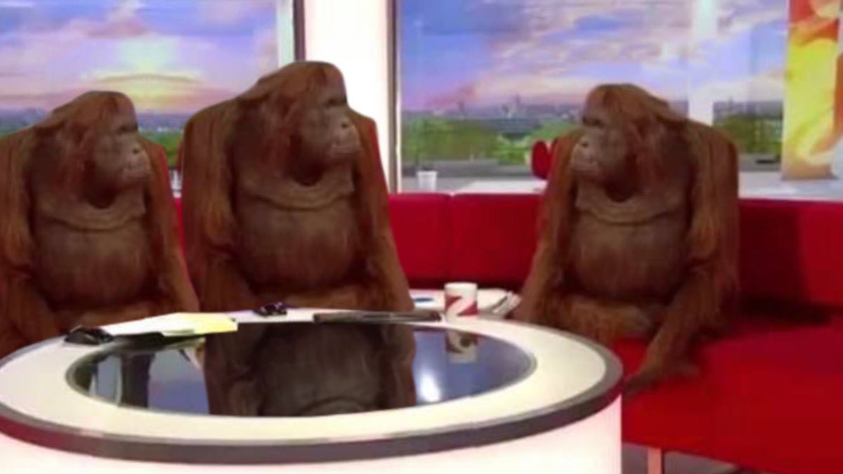 orangutan interview Meme Preview Image
