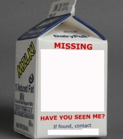 Milk carton Meme Preview Image