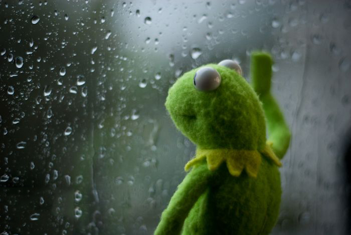 kermit window Meme Preview Image