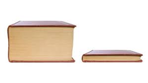 Big book small book Meme Preview Image