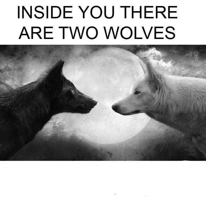 Inside you there are two wolves Meme Preview Image