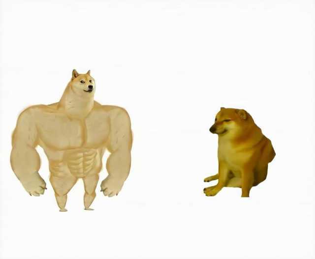 Strong dog vs weak dog Meme Preview Image
