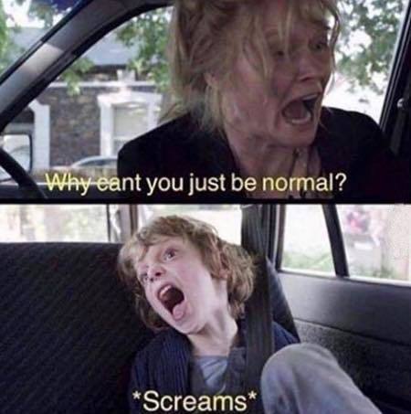 Why Can't You Just Be Normal Meme Preview Image