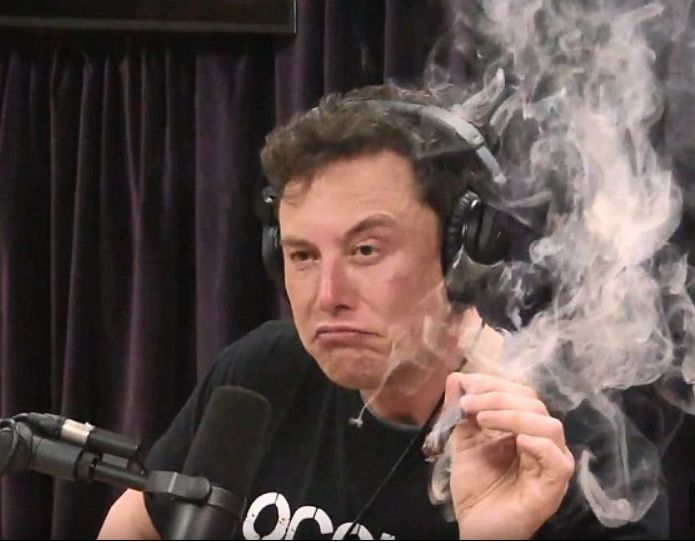 Elon Musk smoking a joint Meme Preview Image