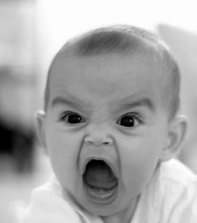 Angry Baby Meme Preview Image
