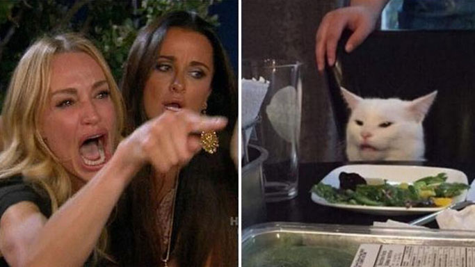 Angry lady cat Meme Preview Image