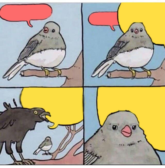 annoyed bird Meme Preview Image