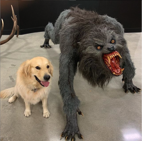 dog vs werewolf Meme Preview Image