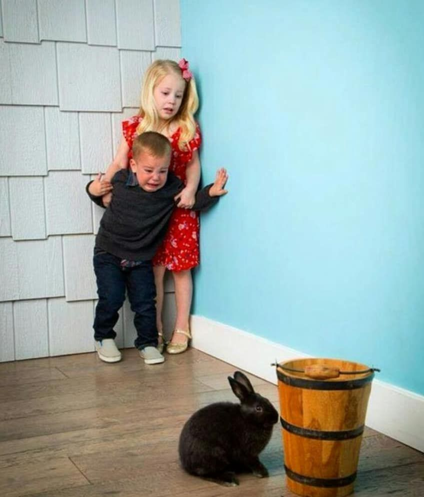 Children scared of rabbit Meme Preview Image