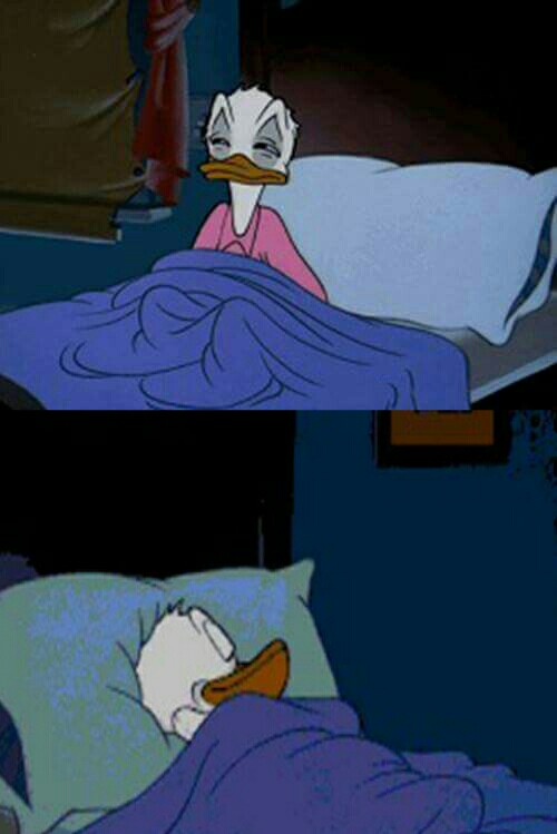 sleepy donald duck in bed Meme Preview Image