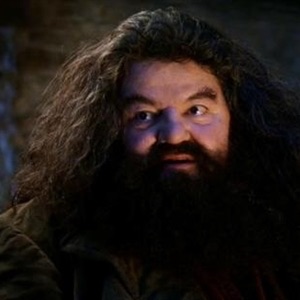 You're a wizard harry Meme Preview Image