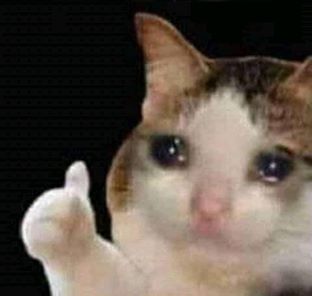 sad thumbs up cat Meme Preview Image