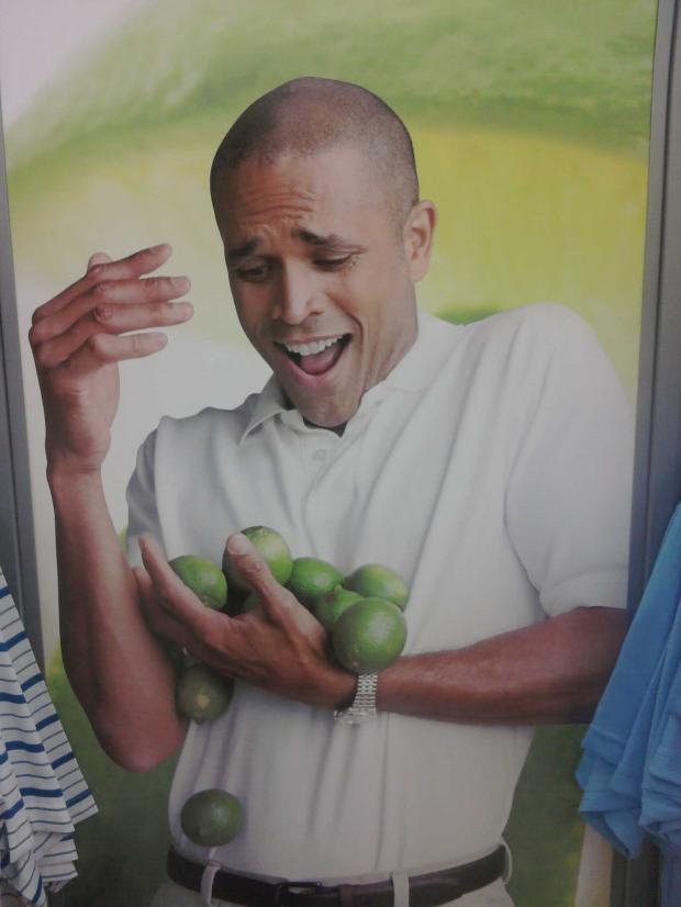 Why Can't I Hold All These Limes Meme Preview Image