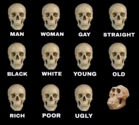 idiot skull Meme Preview Image