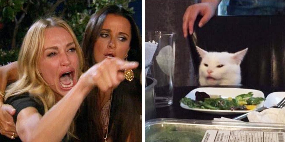 Smudge the cat Meme Preview Image