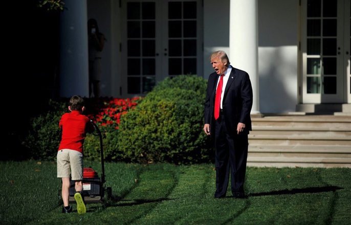Trump Lawn Mower Meme Preview Image