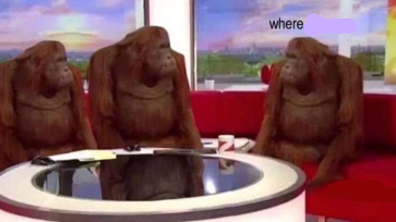 Where banana blank Meme Preview Image