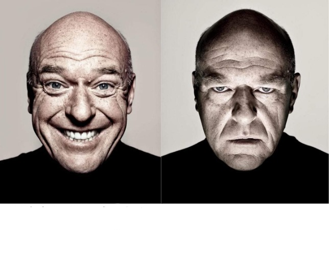 breaking bad smile frown Meme Preview Image