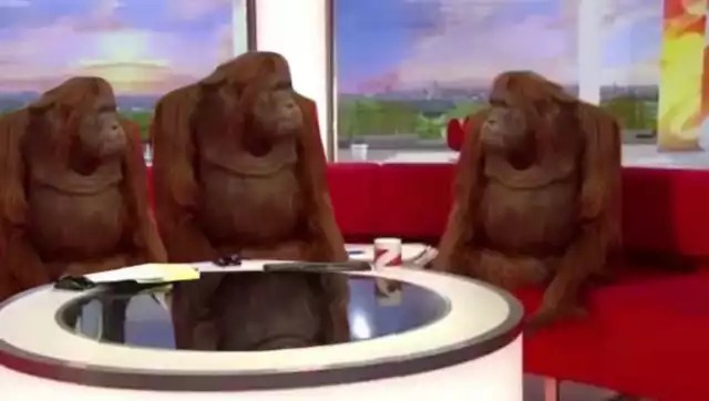 Where Banana (blank) Meme Preview Image