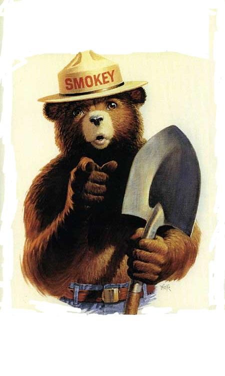 Smokey The Bear Meme Preview Image