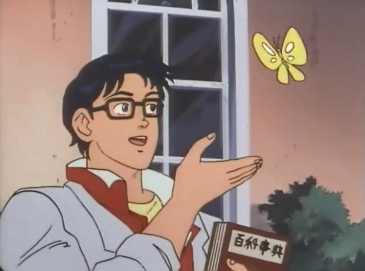 Is this a bird? Meme Preview Image