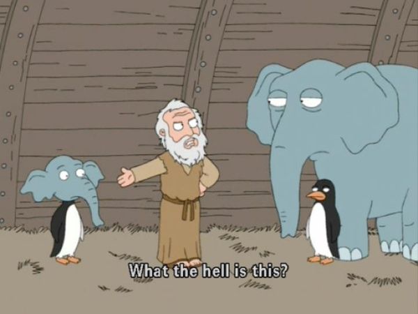 What the hell is this? Meme Preview Image
