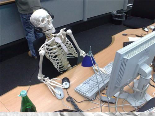 Skeleton Computer Meme Preview Image