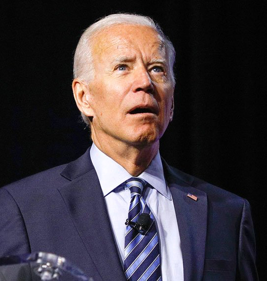 Joe Biden Meme Preview Image