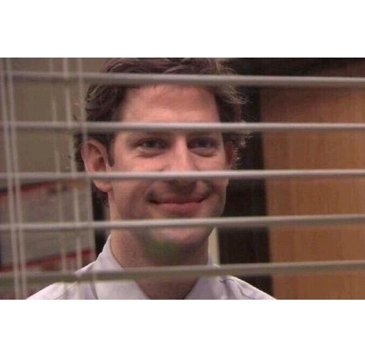 Jim Office Blinds Meme Preview Image