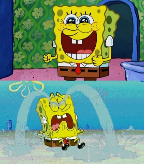 spongebob happy and sad Meme Preview Image