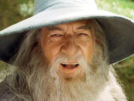 A Wizard Is Never Late Meme Preview Image