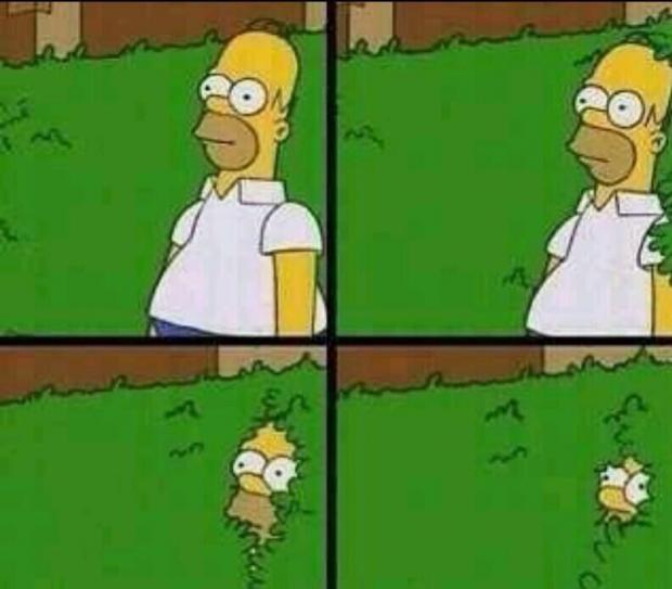 Homer Simpson in Bush - Large Meme Preview Image