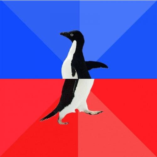Socially Awkward Awesome Penguin Meme Preview Image