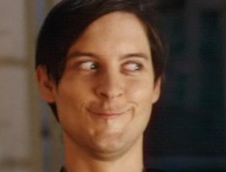 Spiderman Peter Parker Meme Preview Image