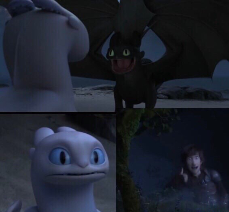 How to train your dragon 3 Meme Preview Image