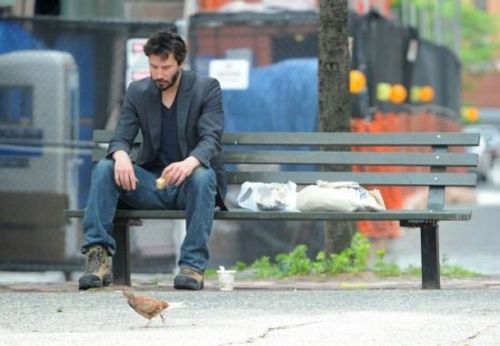 Sad Keanu Meme Preview Image