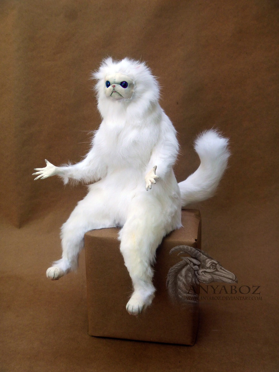 Persian Cat Room Guardian Single Meme Preview Image