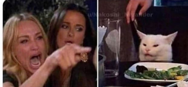 Cat at table Meme Preview Image