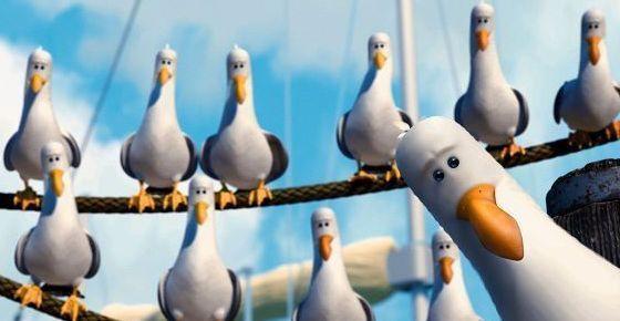 Nemo Birds Meme Preview Image