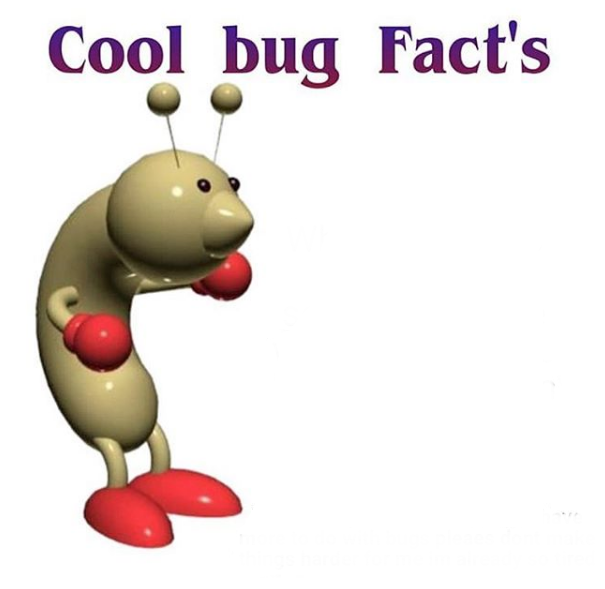 Cool Bug Facts Meme Preview Image