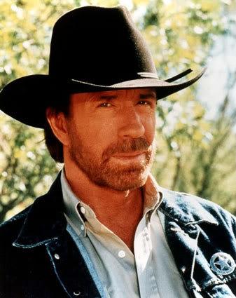 Chuck Norris Meme Preview Image