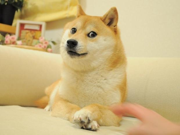Doge 2 Meme Preview Image